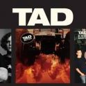 tad-3-covers